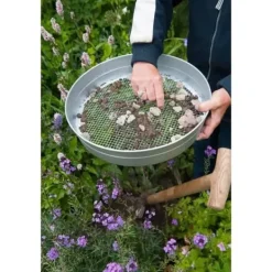 Sier><noscript><img width=