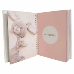 Album Domiva Mes 5 premieres annees