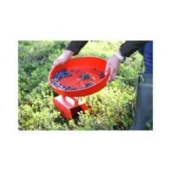 Jonas of Sweden Sier>Bärrensare Röd 36cm