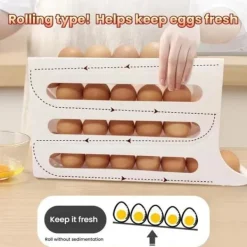 Æggeopbevaringsboks til køleskabet - rullende design med stor kapacitet