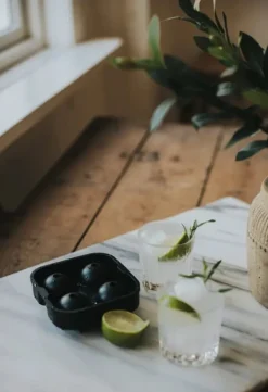 Dorre Isforme>Iskuber/isbollar Isha 4 st Silicon