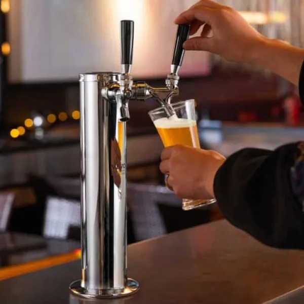 Kegerator tårnsæt, dobbelt haner øltårnsdispenser, 17.5x11.5x43.5 cm, rustfrit stål Discount