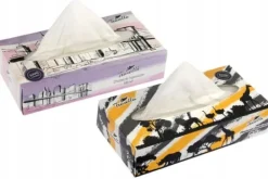 2-lags lommetørklædeæske med 100 stk.