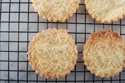 Kageruller><noscript><img width=