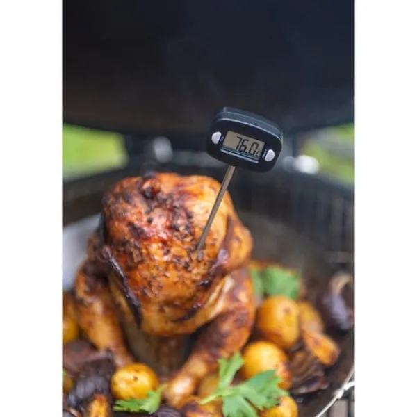 Mustang Køkkentermometre>Termometer Digitalt