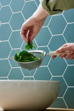 Gastromax Sil BIO Gastomax Discount