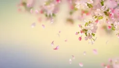 Serveringsfad & Skåle>SKÆREBRÆT I GLAS 52x30 BLOMSTER