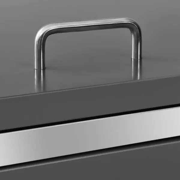 vidaXL Tilbehør Til Affaldshåndtering>firedobbelt skraldespandsskjuler 276,5x77,5x112,5 rustfrit stål - Affaldsspandsskjulere